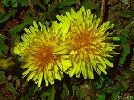 20070322 05.jpg